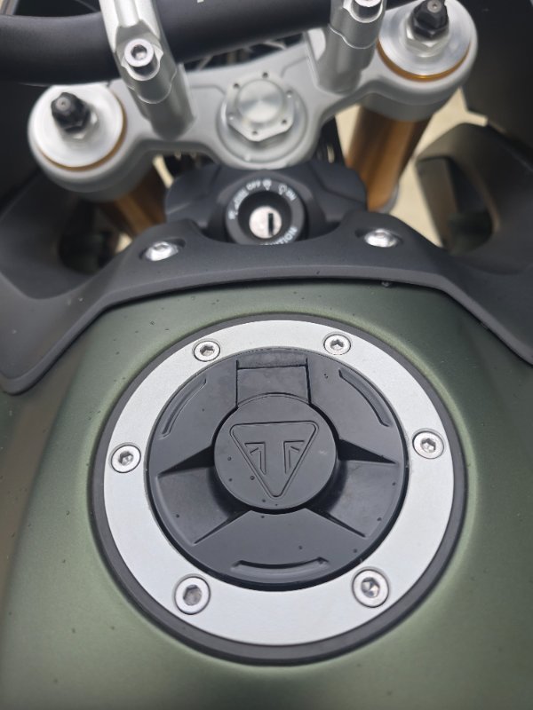 2020 Triumph TIGER 900 RALLY Green