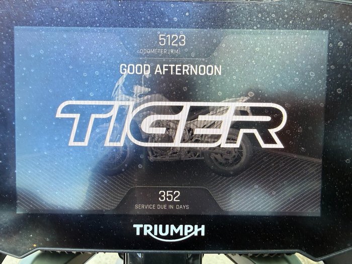 2020 Triumph TIGER 900 RALLY Green
