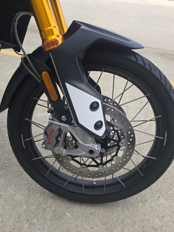 2020 Triumph TIGER 900 RALLY Green