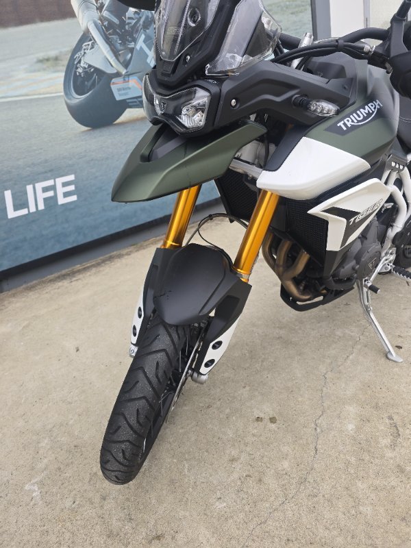 2020 Triumph TIGER 900 RALLY Green