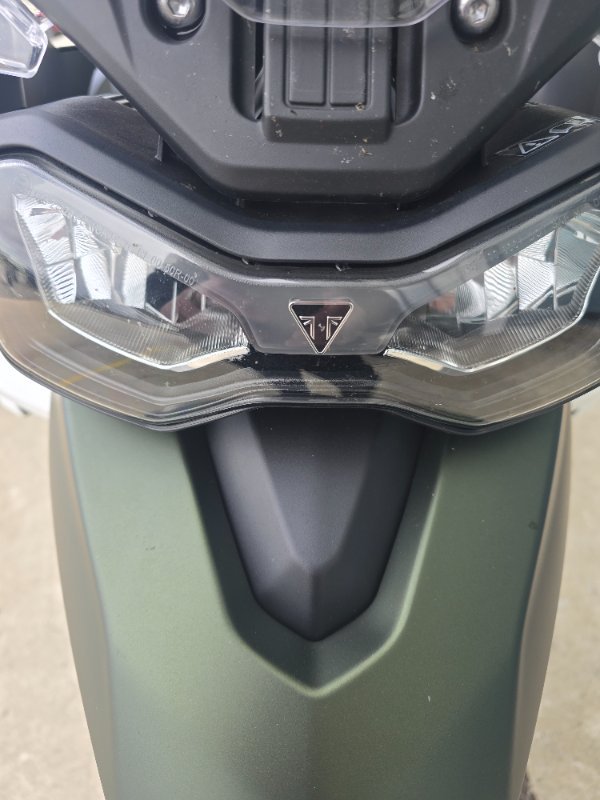 2020 Triumph TIGER 900 RALLY Green