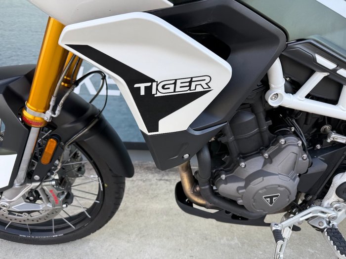 2020 Triumph TIGER 900 RALLY Green