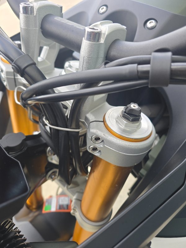 2020 Triumph TIGER 900 RALLY Green