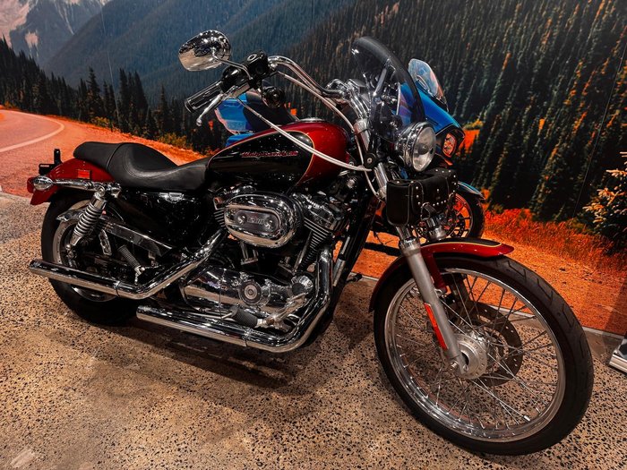 2007 Harley-Davidson 1200 Custom (XL1200C)
