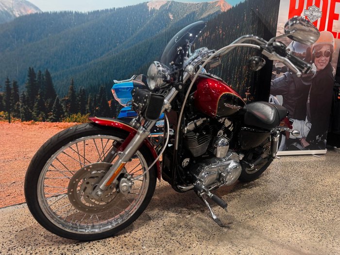 2007 Harley-Davidson 1200 Custom (XL1200C)
