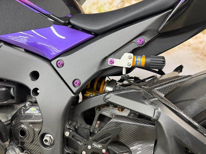 2021 Kawasaki NINJA ZX-10R PURPLE