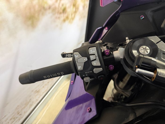 2021 Kawasaki NINJA ZX-10R PURPLE