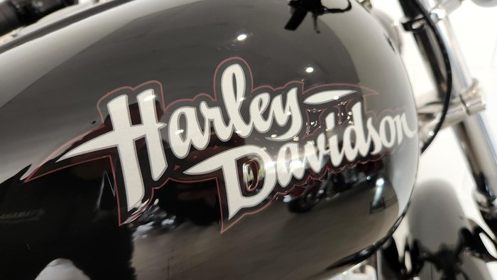 2010 Harley-Davidson