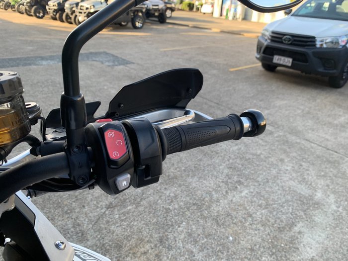 2023 Triumph TIGER 900 RALLY PRO WHITE