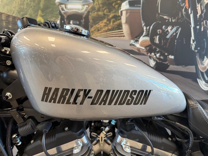 2016 Harley-Davidson Roadster (XL1200CX)