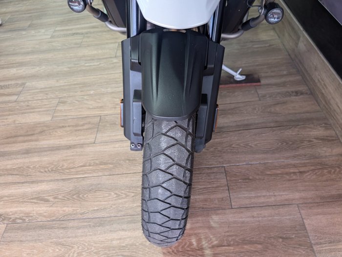 2023 Triumph TIGER 1200 GT EXPLORER WHITE
