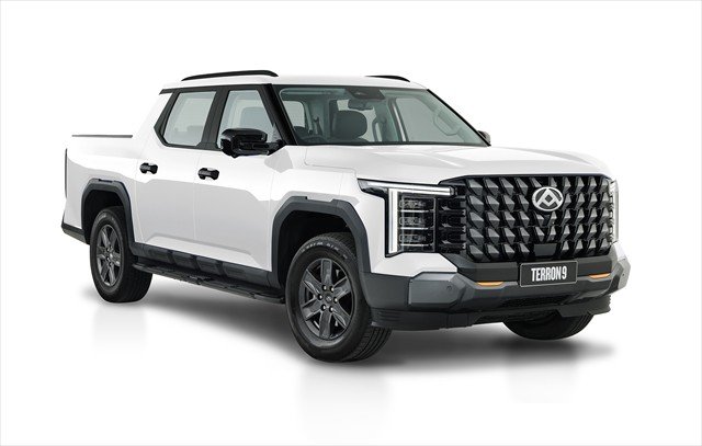 2025 LDV TERRON 9