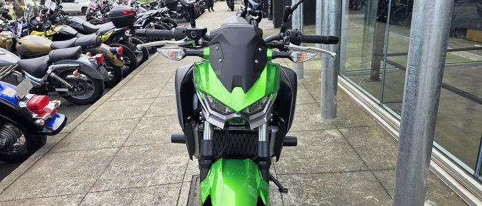 2025 Kawasaki Z500 (ER500) Z Green