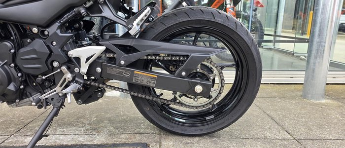 2025 Kawasaki Z500 (ER500) Z Green
