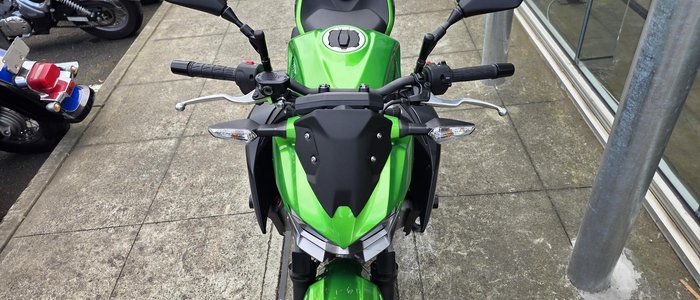 2025 Kawasaki Z500 (ER500) Z Green