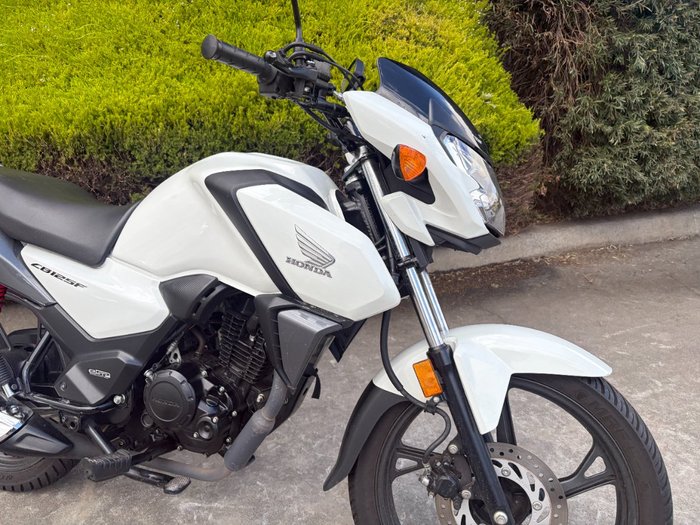 2023 Honda CB125F (CBF125)