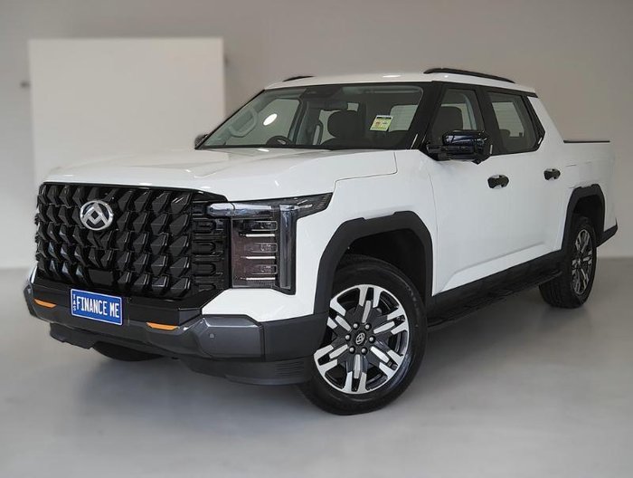 2026 LDV Terron 9