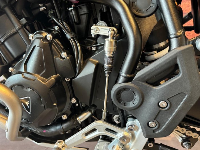 2026 Triumph Tiger 900 Desert Edition Tiger Grey