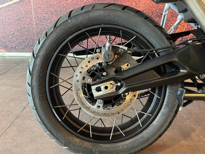 2026 Triumph Tiger 900 Desert Edition Tiger Grey
