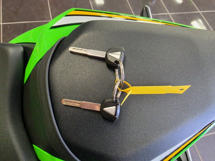 2024 Kawasaki NINJA ZX-6R (636) KRT EDITION GREEN