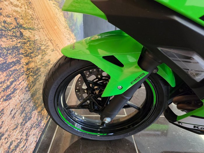 2025 Kawasaki NINJA 500 SE (LAMS) GREEN