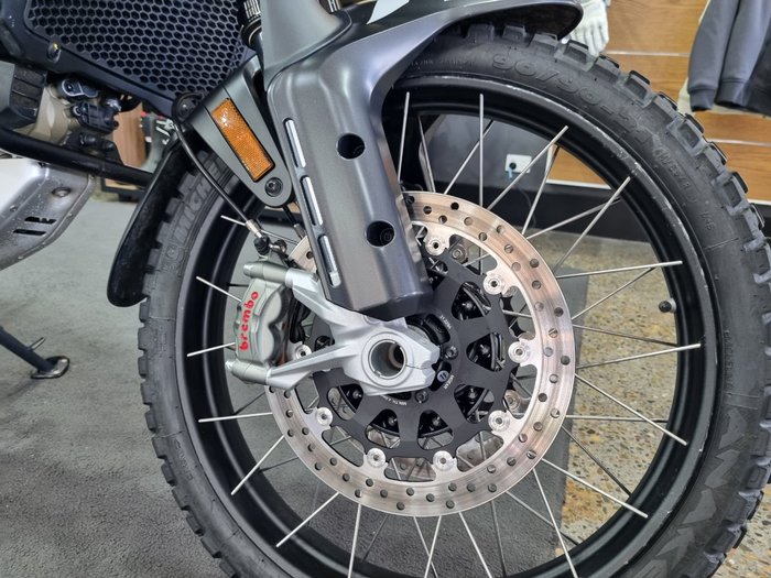 2023 DUCATI DESERTX Grey