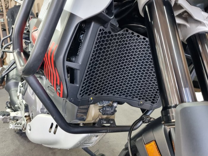 2023 DUCATI DESERTX Grey