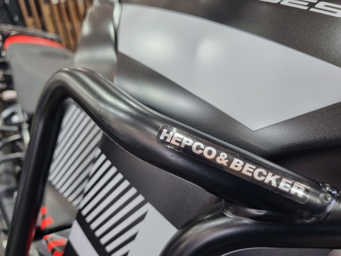 2023 DUCATI DESERTX Grey