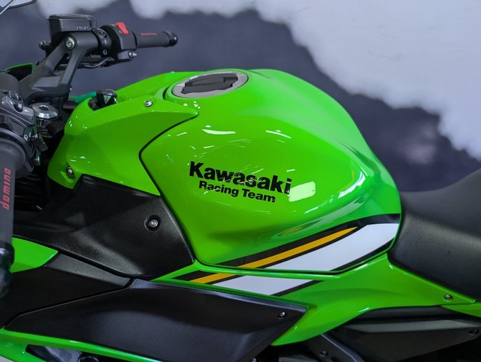 2025 Kawasaki NINJA 650 GREEN