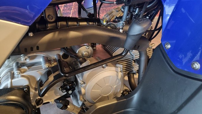 2025 Yamaha Raptor 110 (YFM110R) Raptor Blue