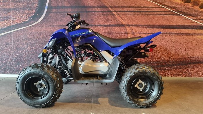 2025 Yamaha Raptor 110 (YFM110R) Raptor Blue