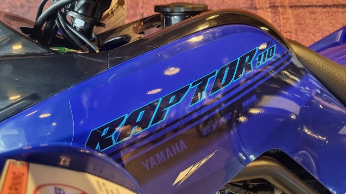 2025 Yamaha Raptor 110 (YFM110R) Raptor Blue