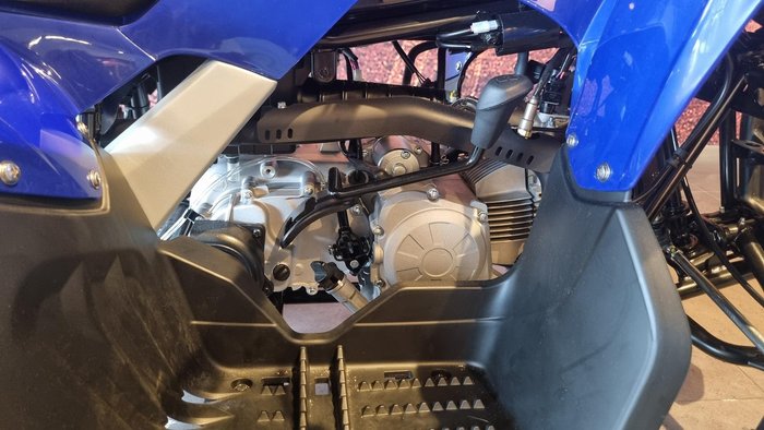 2025 Yamaha Raptor 110 (YFM110R) Raptor Blue
