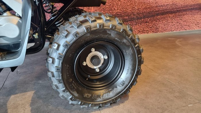 2025 Yamaha Raptor 110 (YFM110R) Raptor Blue
