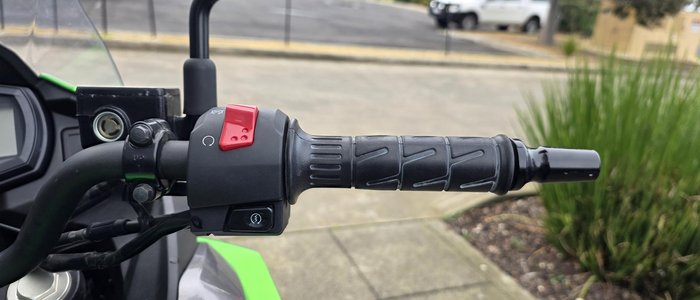 2017 Kawasaki Versys-X 300 (KLE300C) Versys Green