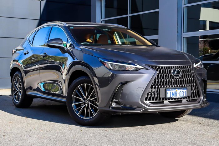 2025 Lexus NX