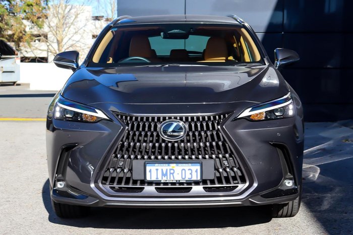 2025 Lexus NX 250