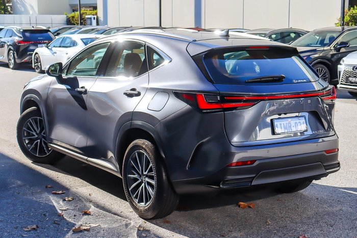 2025 Lexus NX 250