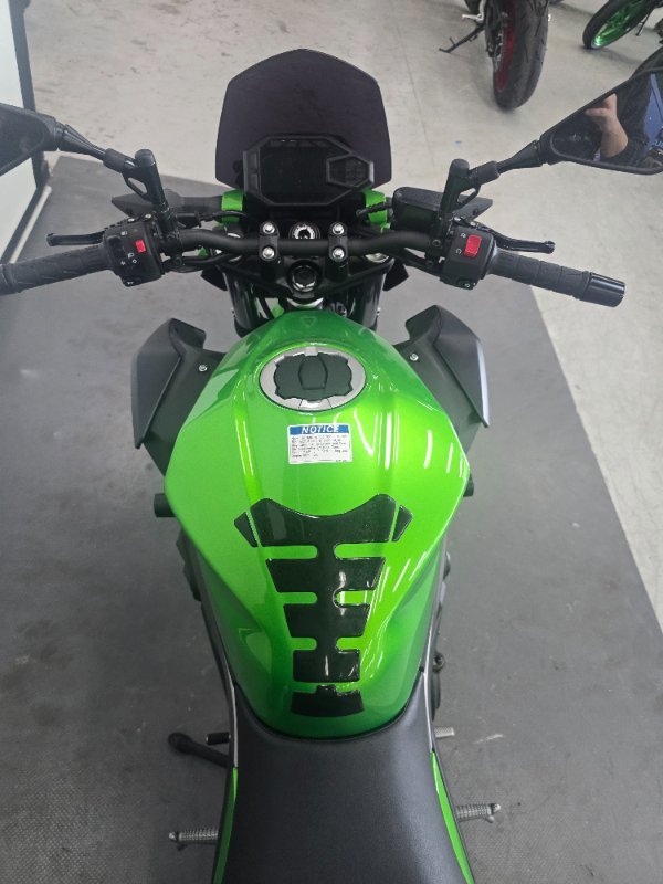 2025 Kawasaki Z500 Green