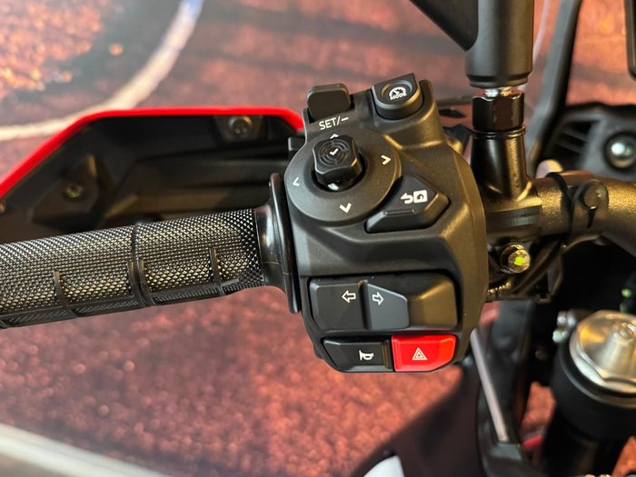 2026 Yamaha Tenere 700 World Raid (XTZ690SP) Tenere