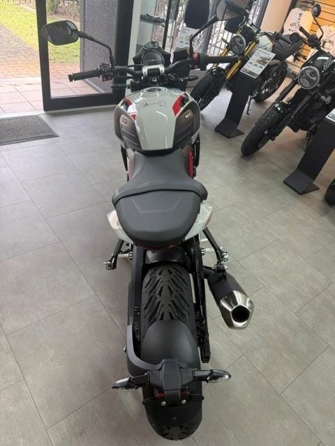 2026 Triumph Trident 800