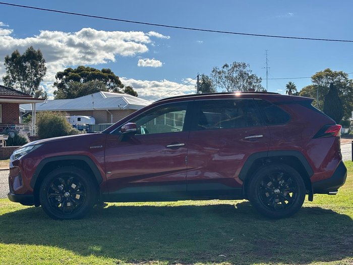 2023 Toyota RAV4 Cruiser