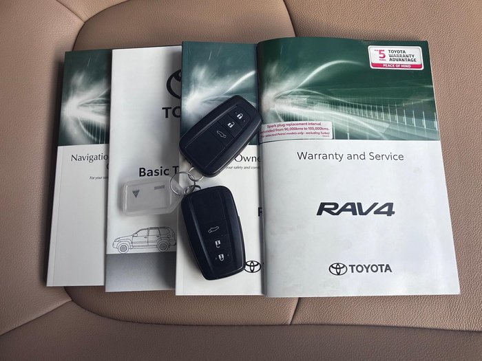 2020 Toyota RAV4 Cruiser