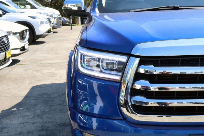 2021 GWM Ute Cannon-L