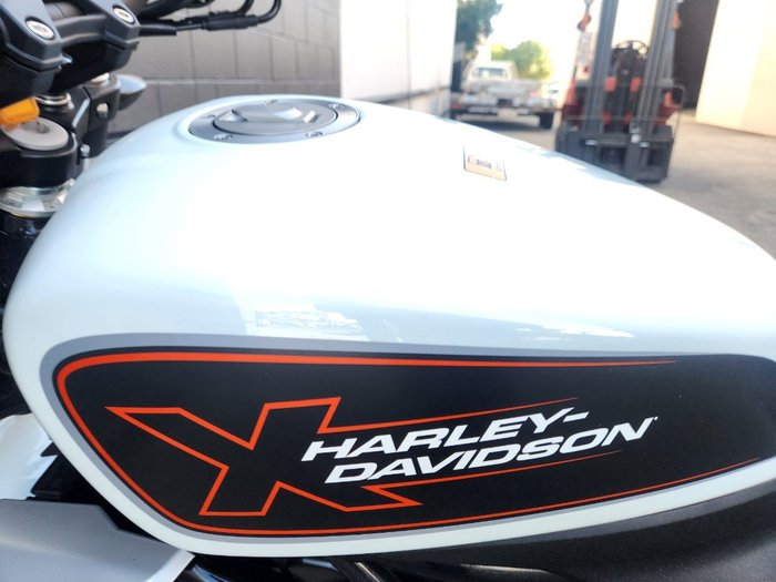 2024 HARLEY-DAVIDSON HD350-10 H-DX X350 SILVER