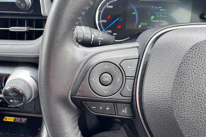 2022 Toyota RAV4 Cruiser