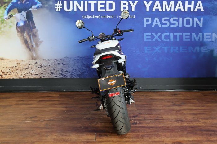 2024 HARLEY-DAVIDSON HD350-10 H-DX X350 White
