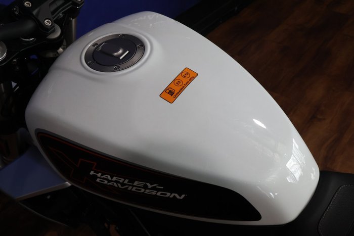 2024 HARLEY-DAVIDSON HD350-10 H-DX X350 White