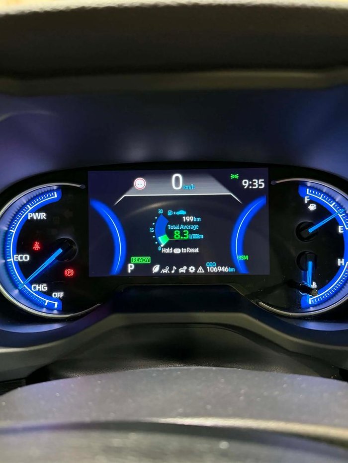 2020 Toyota RAV4 Cruiser