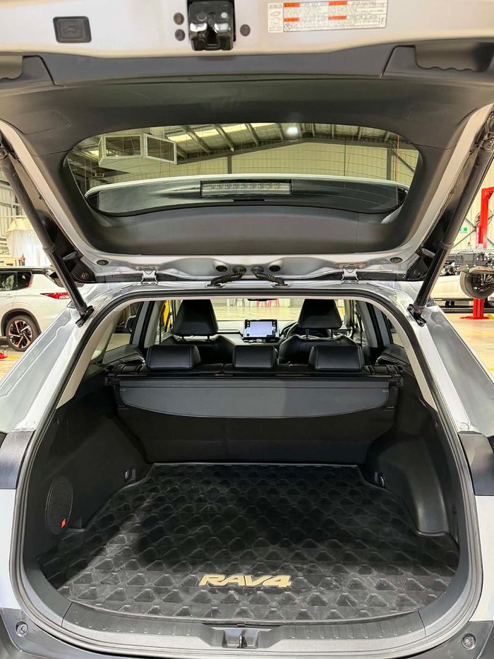 2020 Toyota RAV4 Cruiser
